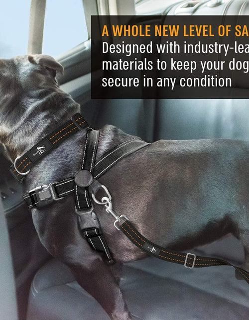 Load image into Gallery viewer, Dog Car Harness - Pack of 1 Dog Seatbelts for Cars, Trucks, Travel - Tether Belt for Small & Large Dogs - Orange