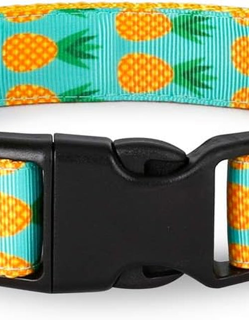 Load image into Gallery viewer, Pet Supplies, (Tropical Pineapple) Cat Collar, Dog Collar, Cat Leash, Dog Leash for Cats, Puppies, Small Medium Large Dogs