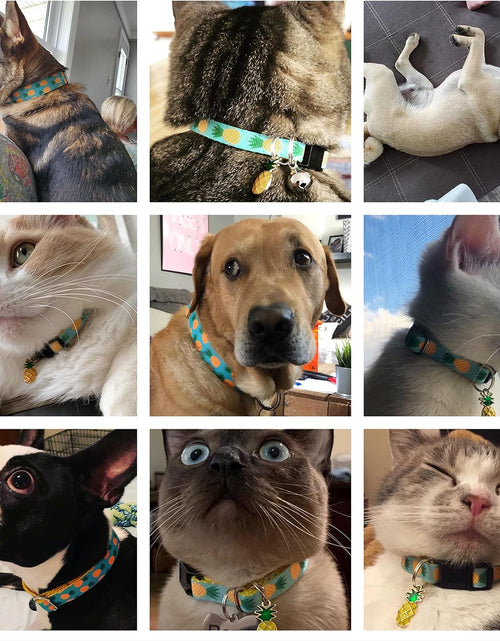 Load image into Gallery viewer, Pet Supplies, (Tropical Pineapple) Cat Collar, Dog Collar, Cat Leash, Dog Leash for Cats, Puppies, Small Medium Large Dogs
