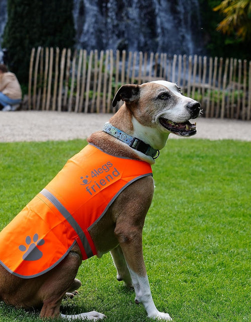 Load image into Gallery viewer, Upgraded Reflective Dog Vest. Hi-Visibility, Fluorescent Blaze Orange Dog Vest Helps Protect Your Best Friend. Safeguard Your PUP from Motorists & Hunting Accidents, on or off Leash by