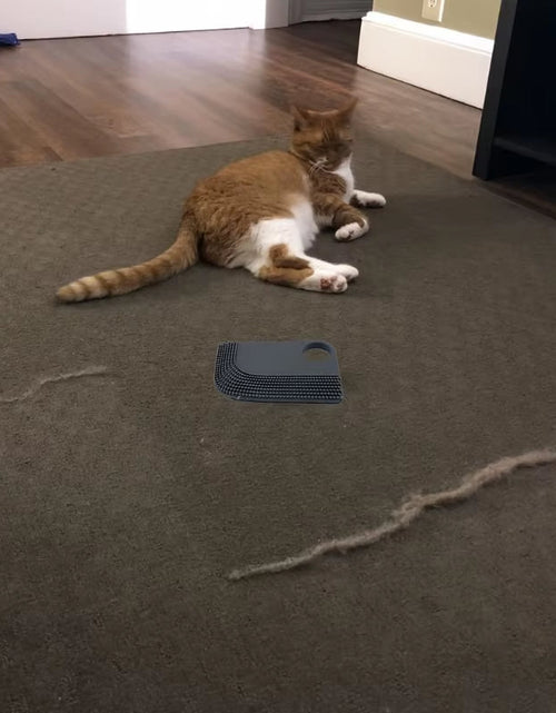 Load image into Gallery viewer, FurSweep Pro – Car Interior Hair Removal Brush & Cleaning Scraper Tool