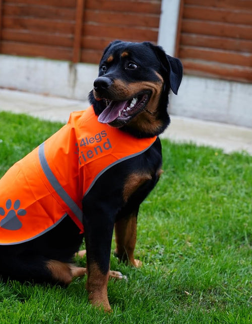 Load image into Gallery viewer, Upgraded Reflective Dog Vest. Hi-Visibility, Fluorescent Blaze Orange Dog Vest Helps Protect Your Best Friend. Safeguard Your PUP from Motorists &amp; Hunting Accidents, on or off Leash by
