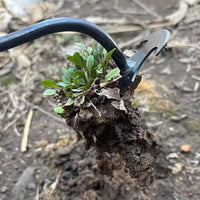 RootMaster™ 4-in-1 Weeding Tool – Conquer Weeds with Steel Power & Precision!