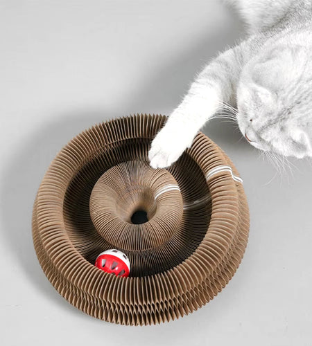 PurrfectScratch Magic Organ Cat Scratching Board – Interactive Claw Grinder & Fun Toy for Cats