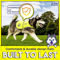 Upgraded Reflective Dog Vest. Hi-Visibility, Fluorescent Blaze Orange Dog Vest Helps Protect Your Best Friend. Safeguard Your PUP from Motorists & Hunting Accidents, on or off Leash by